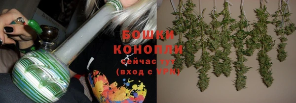 спиды Арсеньев