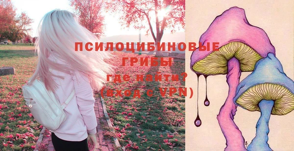 спиды Арсеньев